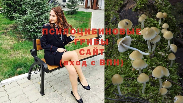 гашик Магадан